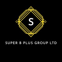 SUPER B PLUS GROUP LTD logo - Similar company to Dms Technologies
