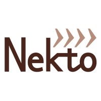 Nekto logo - Similar company to Entra