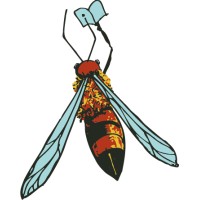 Apis Academy logo - Similar company to Wau?!