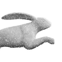 HOPRAN logo - Similar company to Youneed3D