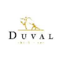 Duval Business Development logo - Similar company to Nomo