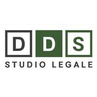 DDS & PARTNERS SRL STA logo - Similar company to Studio Legale Malavasi