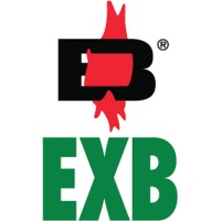 EXB - Seguridad Y Protección Contra Incendios logo - Similar company to Visufoc S.L. - Protección Contra Incendios