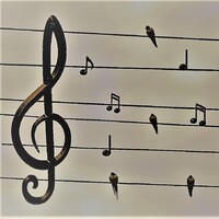 Floorio Muziekbeleving logo - Similar company to Creatieve Therapie Oss