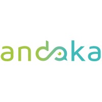 andoka Consultancy logo - Similar company to Spaceships Limited