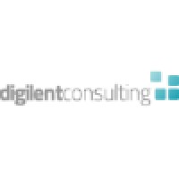 Digilent Consulting logo - Similar company to Digilent.Io
