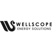 WellScope Energy Solutions (Ghana) logo - Similar company to Knj Engineering Limited