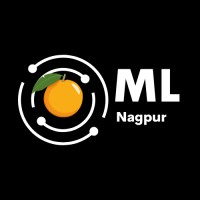 ML Nagpur logo - Similar company to Letsfightback