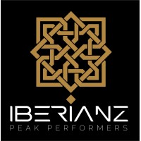 Iberianz logo - Similar company to Brandsintellect