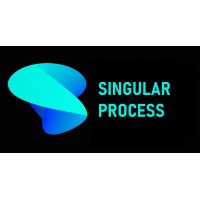 SingularProcess logo - Similar company to Tsands Process Solutions S.L.