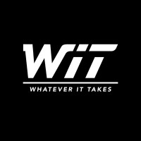 The WIT Group logo - Similar company to Wit- Whatever It Takes
