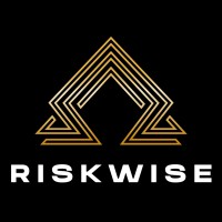 RiskWise logo - Similar company to Riskwise