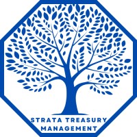 Strata Treasury Management logo - Similar company to Silver Lining Systems Sdn Bhd