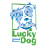 Lucky Dog Animal Rescue logo - Similar company to Animal Rescue League Of Boston