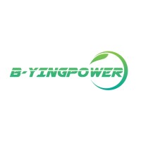 DongGuan B-YingPower technology Co.,Ltd. logo - Similar company to Easilok --Aisecure Inc.