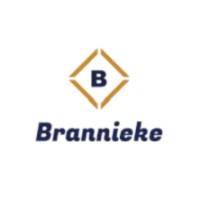 Brannieke Automotive logo - Similar company to Sa Engineering