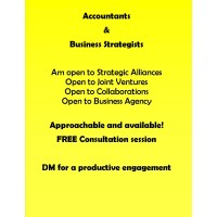 SteelPulse Advisors logo - Similar company to Gleam Consultancy