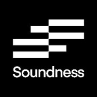 Soundness logo - Similar company to Mk-1