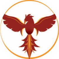 Phoenix Studios logo - Similar company to Redmonkey Multimedia