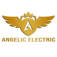 ANGELIC ELECTRIC PRIVATE LIMITED logo - Similar company to N Storm Battery