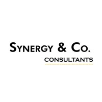 SYNERGY & CO. CONSULTANTS logo - Similar company to Leadcom