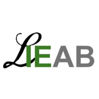 L Ingenjörs Entreprenad AB logo - Similar company to Darman Ab