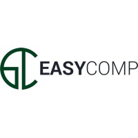 Easycomp B.V. logo - Similar company to Fds System