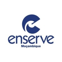 Enserve Moçambique logo - Similar company to Enserve Engineering Services (Pty) (Ltd)