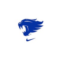 WildCats Digital Marketing Agency logo - Similar company to Dataledge