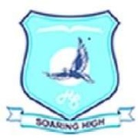 Hillside School Utawala logo - Similar company to Geek Sisters (Geek-Ssters)