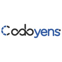Codoyens logo - Similar company to Ba Softech