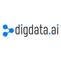 DigData logo - Similar company to Bits Orchestra