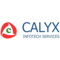CALYX INFOTECH SERVICES logo - Similar company to Next Gen Business Solutions Inc