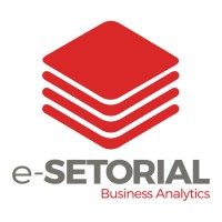 e-SETORIAL Business Analytics logo - Similar company to Stec Informática Ltda