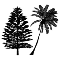 BHC logo - Similar company to Cortexa