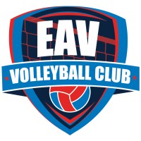 Elite Ace Volleyball logo - Similar company to Pickle For Pay
