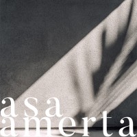 ASA AMERTA logo - Similar company to Nauli