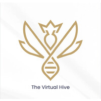 The Virtual Hive. logo - Similar company to Finest Va
