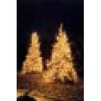 Lighting by ACC logo - Similar company to Holiday Light & Decor