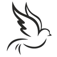 Professional Accounting and Tax Services logo - Similar company to D Tax Accounting