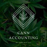 Cann Accounting, Inc logo - Similar company to Bv Global