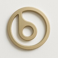 Beauty In logo - Similar company to Moshe Digital