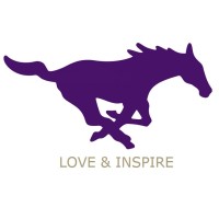 Marble Falls ISD logo - Similar company to Fivestones Safety