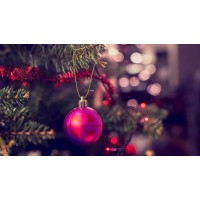 Nedel Ingeniería y sistemas industriales aplicados logo - Similar company to Cuallitech