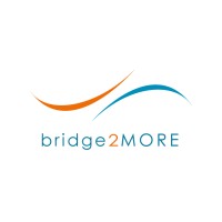 Bridge2More logo - Similar company to Rayne Ix: A Strategic Consultancy For Women Agency Owners
