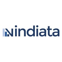 Vindiata logo - Similar company to Dezignolics