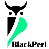 BlackPerl logo - Similar company to System Two Security