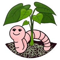 Wrigglebrew