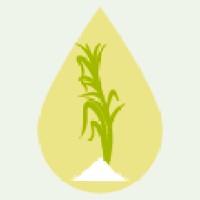 TSS - Technology Sugar Solutions logo - Similar company to Natural Sugar