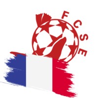 FC Saint-Étienne logo - Similar company to Climb Up Saint-Etienne